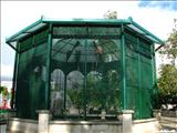 Santiago Palmer Square - CAGUAS